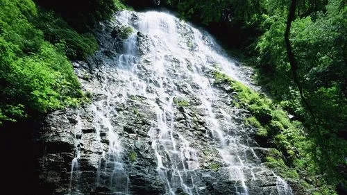 高端高标准信息化
